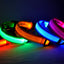 LED Dog Collar USB Rechargeable - Bright & High Visibility Lighted Glow Collar for Small Medium Large Breeds Pet Night Walking