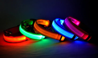 LED Dog Collar USB Rechargeable - Bright & High Visibility Lighted Glow Collar for Small Medium Large Breeds Pet Night Walking