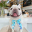 Cute Print Summer Dog Cooling Collar Pet Dog Ice Scarf Pet Cool Bandana Adjustable Pet Outdoor Prevent Heatstrok Dog Accessories