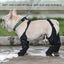 Dog Shoes Waterproof Adjustable Dog Boots Waterproof Breathable Pet Shoes Pets Paws Protector Outdoor Walking Soft Shoes