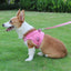 Dog Harness Dog Traction Rope Corduroy Breathable Dog Chest Strap Reflective Pet Chest Strap Walking Rope Set