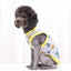 Cute Thin Summer Dog Vest Bear Print Dog Clothes Puppy Costume Chihuahua Bichon Sunscreen Cat Dog Cooling Vest Grils Dog T-Shirt