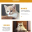 4Pcs/Bag Extended Cat Color Plastic Spring Pet Cat Toys Interactive Pet Products for Cats Pet Cat Supplies