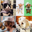 2018 Lovely Stylish Navy And Sailor Style Hat Plus Scarf Suit For Dogs And Cats Pet And E Navy Cloak