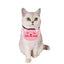 Adjustable Pet Dog Cat Saliva Towel Lace Decorative Bibs Scarf Bandana Collar Dog Accessories Small Dogs Bibs Cute Accessories