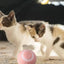 Cat Interactive Ball Intelligent Sensing Rolling Ball Toys Automatic Rolling Magic Ball Toy Rotating Ball Cat Game Accessories