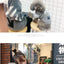 The New Pet Clothes  Cat Sweater  Dog Sweater Korean Version Spring and Autumn Parent-child Wear Six Sizes