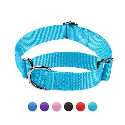 Martingale Heavy Duty Nylon Dog Collar for Small, Medium, Large Breeds Adjustable Safety Training Collar