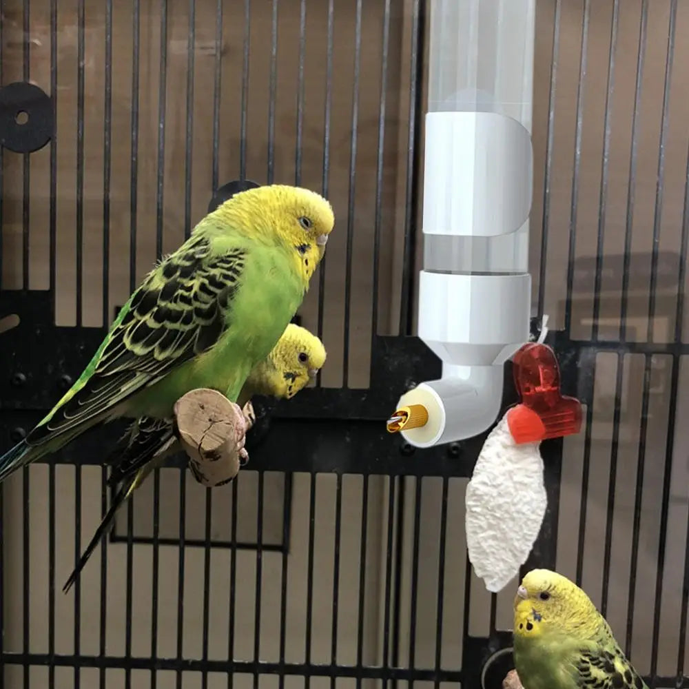 Birds Water Feeder Automatic Bird Cage Suspended Waterer Parakeet Water Dispenser Budgie Drink Acrylic Drinker Bottle For Canary