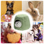 Covered Cat Bed Semi-Closed Pet Tent House Small Dog Puppy Sleeping Beds With Removable Washable Pillow Cushion Pad