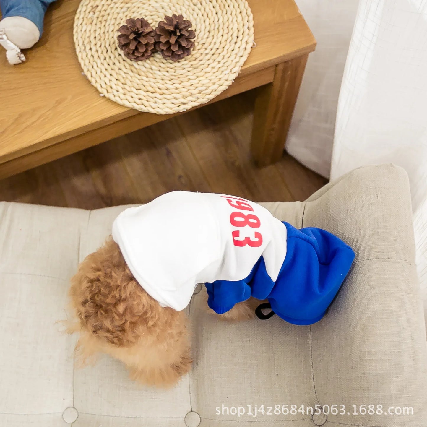 Parent-child Wear Dog Clothes for Small Dogs  Dog Hoodie  Dog Costume  Pet Clothes Spring and Autumn Breathable Keep Warm