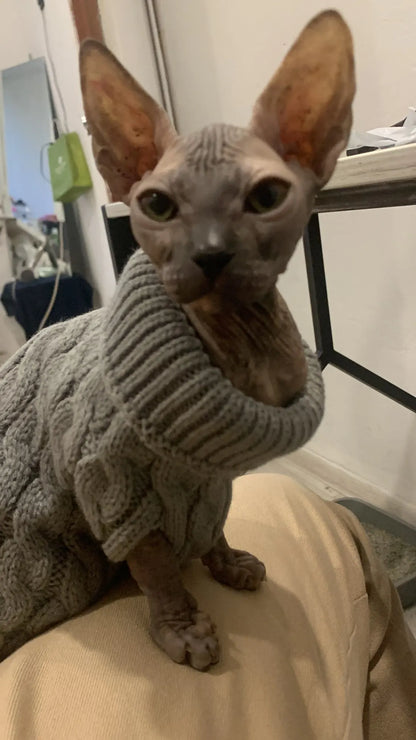 Warm Dog Clothes Knitted Clothes for Dogs Chihuahua Sweater for Small Dogs Winter Clothes for Sphinx Cat Dog Sweater for York