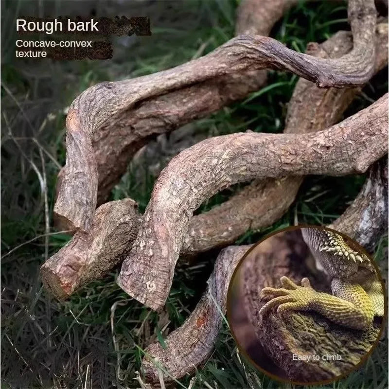 Climbing Pet Climbing Wooden Landscape Tree Vine Natural Dead Wood Crawler Rainforest Tank Tree Frog Crossing River Dragon Vine