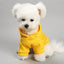 Horror Print Puppy Dog Hoodie Sweater Autumn Spring Pet Clothes for Small Dogs Chihuahua Pomeranian Pullovers mascotas Costume