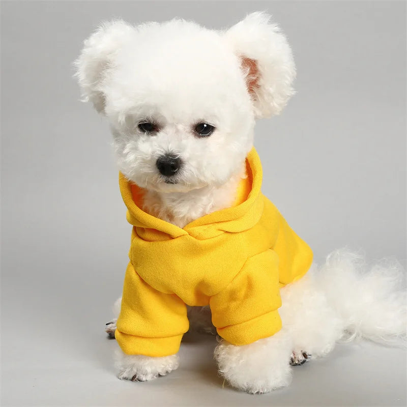 Horror Print Puppy Dog Hoodie Sweater Autumn Spring Pet Clothes for Small Dogs Chihuahua Pomeranian Pullovers mascotas Costume