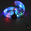 Led Light Up Dog Leash Walking Safety Glow in The Dark USB Rechargeable Adjustable for Large Medium Small Pet Lighted Dog Collar