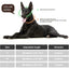Dog Chain Collar Stainless Steel Martingale Collar for Dogs Metal Cuban Link Chew Proof Double Row Chain Pet Large Dogs Collar