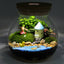 Fish Bowl Led Light Small Betta Fish Tank Led Lighting Lid Glass Fish Bowl Small Aquarium Glass Terrarium Container Bubble