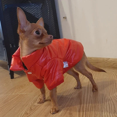 Waterproof Jacket for Small Dog Clothes for York Coat for Little Dog Hoodie for Chihuahua, Pet Products Dog Leash Winter
