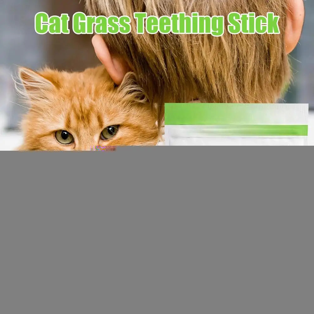 6PCS Cat Grass Teeth Grinding Stick Pet Snacks Hairball Removal Mild Hair Row Ready To Eat Cat Baby Cat Teeth Cleaner Teeth Care