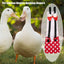 Adjustable Nappy Clothes Pet Supplies Physiological Pant Bowknot Chicken Diaper Clothes with Elastic Band Chicken Duck Diapers