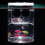 Acrylic Floating Fish Breeding Isolation Box Aquarium Breeder Feeder Fish Tank Hatching Incubator Aquarium Hatchery Accessories
