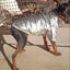 Puppy Pet Dog Clothes Outdoor Windproof Waterproof Leather Dog Coat Winter Warm Padded Jacket for Dogs and Cats in Cold Weather