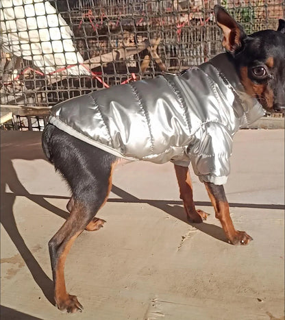 Puppy Pet Dog Clothes Outdoor Windproof Waterproof Leather Dog Coat Winter Warm Padded Jacket for Dogs and Cats in Cold Weather