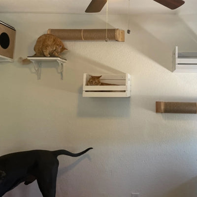 Cat Hammock Perch Thicker Columns Cat Wall Shelves Multi-Functions Cat Scratching Post Claw Sharpener Cat Tree Tower Furniture