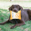 Dog Toy Potato Chip Bag Squeaky Snack Bag Dog Toy Molar Toy Snack Bag Dog Toy Interactive Plush Pet Toy Puppy Teething Toy
