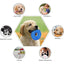 Pet Teething Sound Toy TPR Bite-resistant Raised Texture Teeth Design Spherical Safe Harmless Health Promotes Cleans Oral H0F7