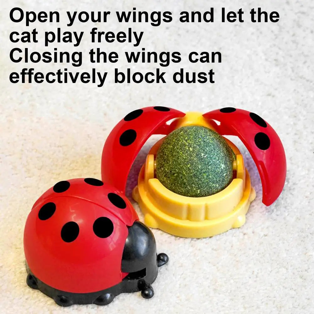 Cat Catnip Ball Toy Wall Mounted Ladybug Shape Kitten Chew Toy Edible Toy Ball With Catnip Cat Teething Toys For Indoor Outdoor