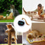 2 in 1 Self Rotating Ball Cat Toy Smart Interactive Cat Toy USB Rechargeable Wicked Ball 360 Degree Automatic Cat Moving Rolling