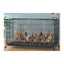 Chicken Coop Egg Laying Automatic Feces Clearing and Egg Rolling Chicken Cage Henhouse Folding Breeding Cage