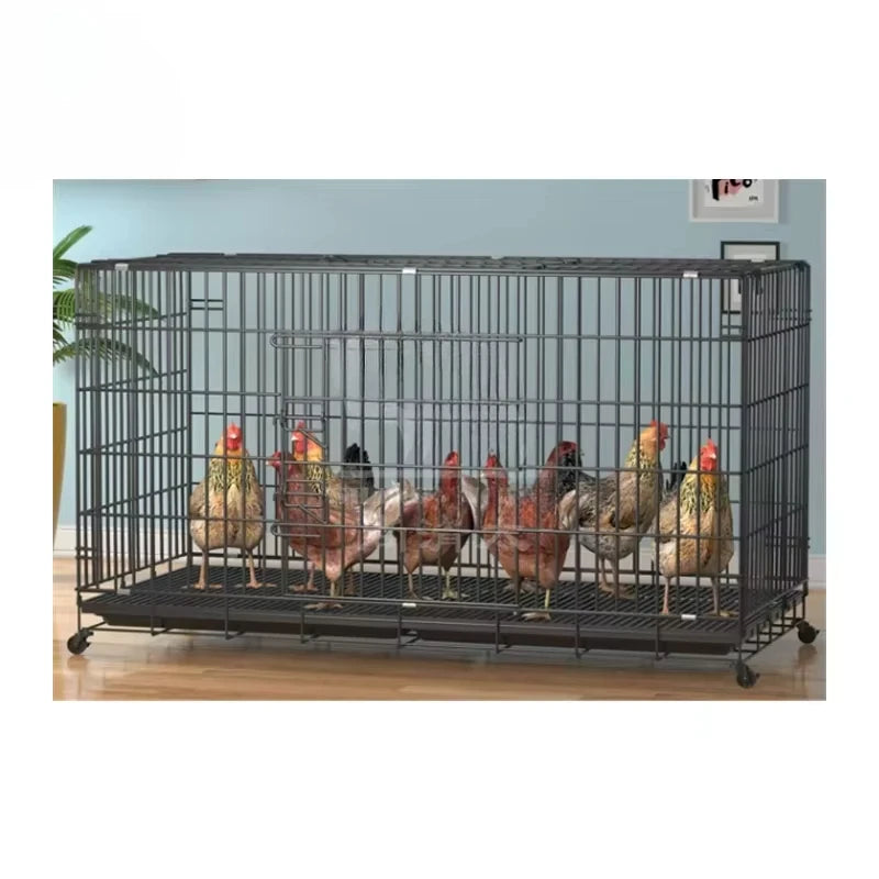 Chicken Coop Egg Laying Automatic Feces Clearing and Egg Rolling Chicken Cage Henhouse Folding Breeding Cage