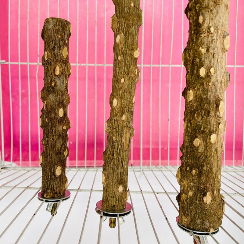 10/15/20cm Birds Accessories Equipment for Parrots Supplies Pet Raw Wood Tree Branch Stand Rack Perches Chew Bite Toys Stick