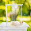 Bird Shower Box Automatic Shower Tub Multipurpose Bird Bathtub Parrot Bath Box For Pet Brids Parakeet Cleaning Supplies