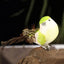 6PCS 10CM Simulation Birds Artificial Sparrow Statue Desktop Miniatures Foam Ornament For Household DIY Decoraction Children Toy