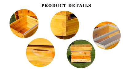 10 Frame Bee Hive, Complete Beehive Kit Beeswax Coated Beehive Include Frames, Bee Hive Boxes Starter Kit for Bee Keekeepers