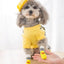 Dog Socks for Small Medium Dogs Non Skid Pet Puppy Grip Socks Paw Protectors Indoor Traction Control Socks for Hardwood Floor