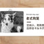 Household Small and Medium Dogs Teddy Pet Dog Fence Visual Cat Cage Dog Fence Indoor Panoramic Transparent Dog Cage
