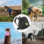 Dog Backpack Mesh Dog Harness Backpack With Adjustable Pet Harness Vest No Pull Dog Saddle Bag Cute Doggie Backpack Carrier Fit