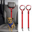 Pet car safety rope ring dog car safety belt rear seat towing rope