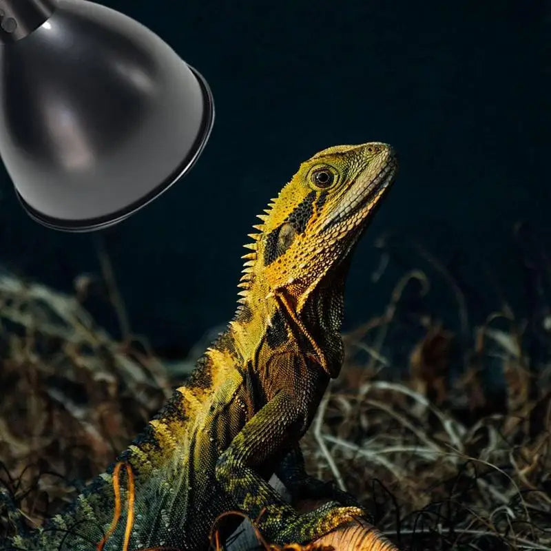 Reptile Heat Lamp Fixture Deep Dome Lampshade Optical Reflection Cover Terrarium Light Fixture for UVB Light Bulb Basking Bulb
