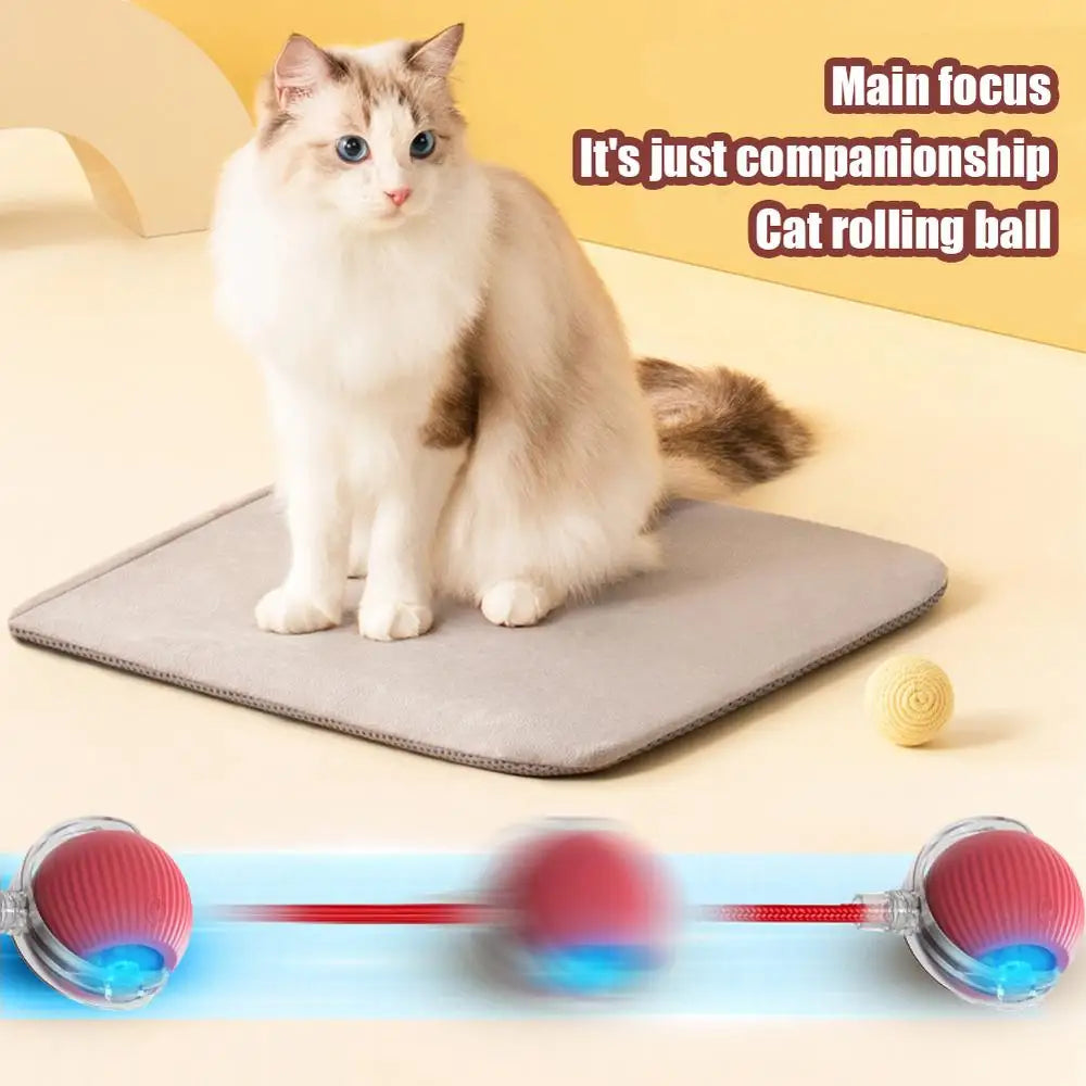 Automatic Interactive Cat Toy Electric Cat Toy Ball Cat Puzzle Toy Cat Balls For Interaction Small Big Cat Puzzle Toy