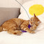 Suction Cup Cat Teaser Stick Bite Resistant Feather Bell Interactive Toys for Cats Replacement Head Kitten Energy Pet Supplies