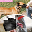 Puppy Accessories Chewing Dog Harness Barking - Essential Accessory Pets Dogs  Lanyard Collar Nylon