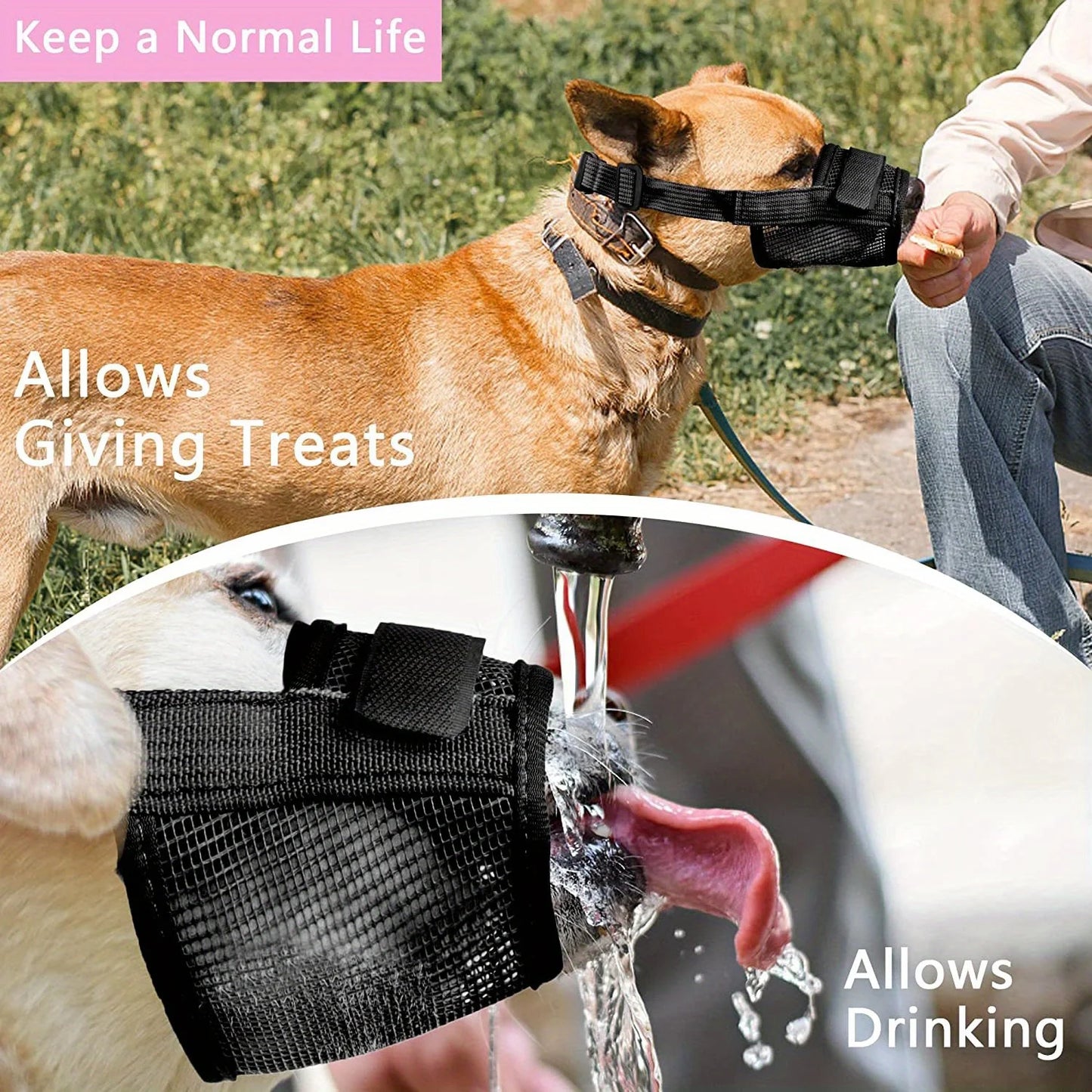 Puppy Accessories Chewing Dog Harness Barking - Essential Accessory Pets Dogs  Lanyard Collar Nylon