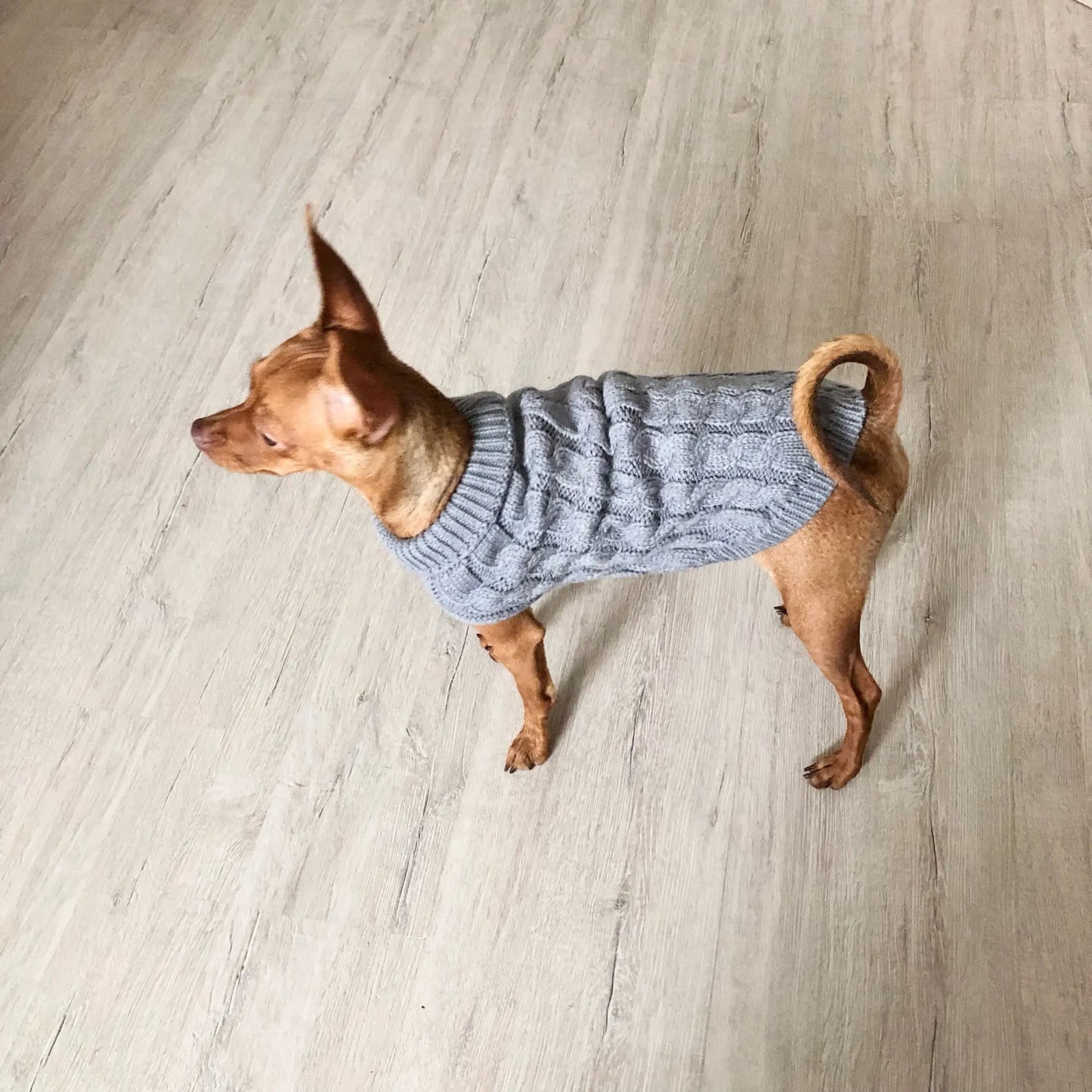 Warm Dog Clothes Knitted Clothes for Dogs Chihuahua Sweater for Small Dogs Winter Clothes for Sphinx Cat Dog Sweater for York