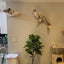 Cat Climbing Wood Shelves Furniture Wall Mounted Cat Bridge and Cat Hammock or Platform with Pedals for Kitten Perch and Rest